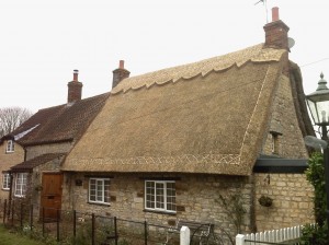 Thatched Roof Insurance Surveys