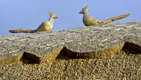 thatched roof re-ridge